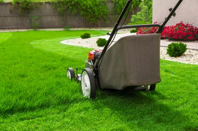 Increase Your One Time Lawn Service Business with an AI Driven, Targeted Website