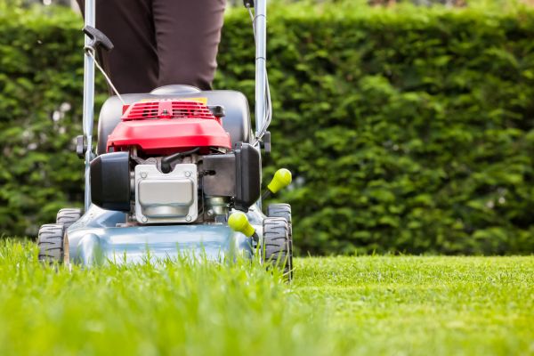 One Time Lawn Service - One Time Lawn Service Muskegon, Michigan