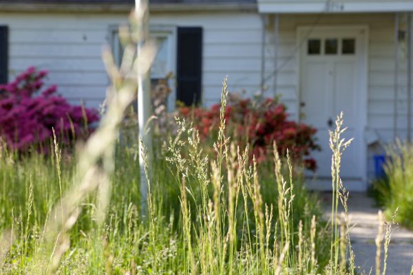 Overgrown Lawn Service - Overgrown Lawn Service Muskegon, Michigan