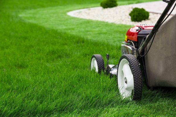 Lawn Service - Lawn Service Ann Arbor, Michigan
