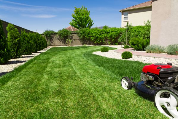 Ad Hoc Lawn Care