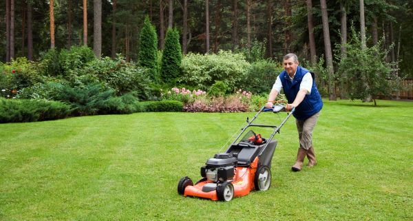 Occasional Lawn Care