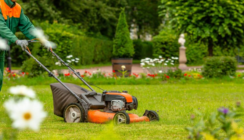 One Time Lawn Service