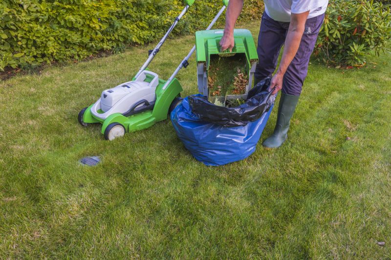 One Time Lawn Service