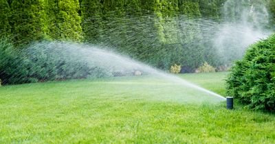 Sprinkler System in Fall