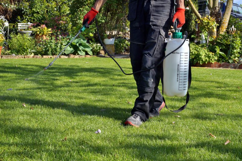 One Time Lawn Service Costs — Cost of One Time Lawn Service