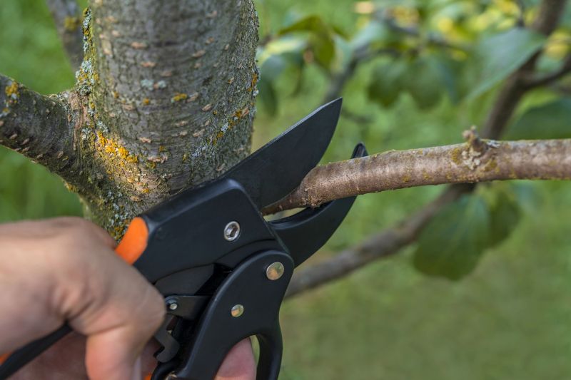 Tree and Shrub Pruners